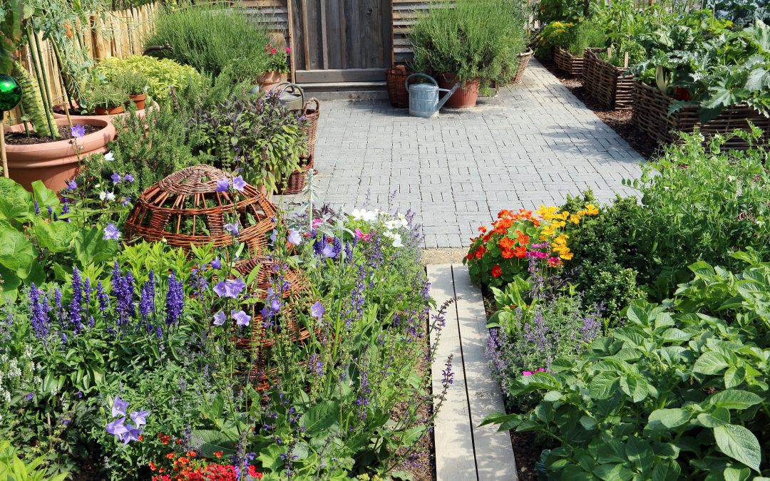 Are you still missing something in your life? Maybe a nutritious garden!