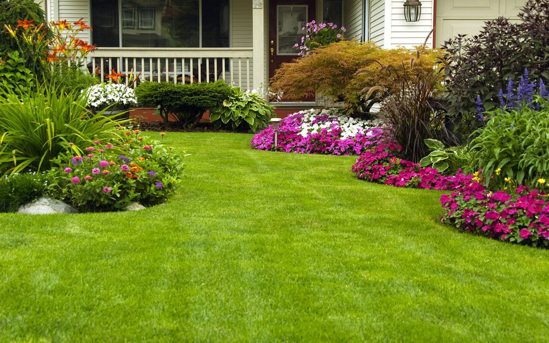 A look at a few surprising benefits of landscape gardening